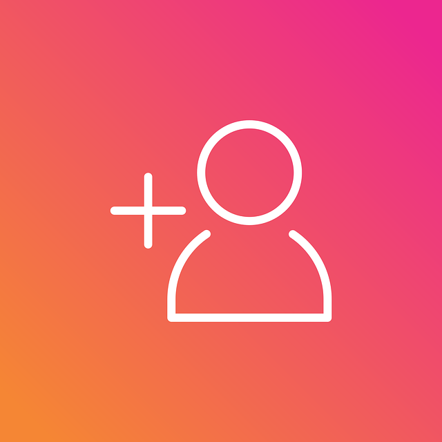 INSTAGRAM likes followers