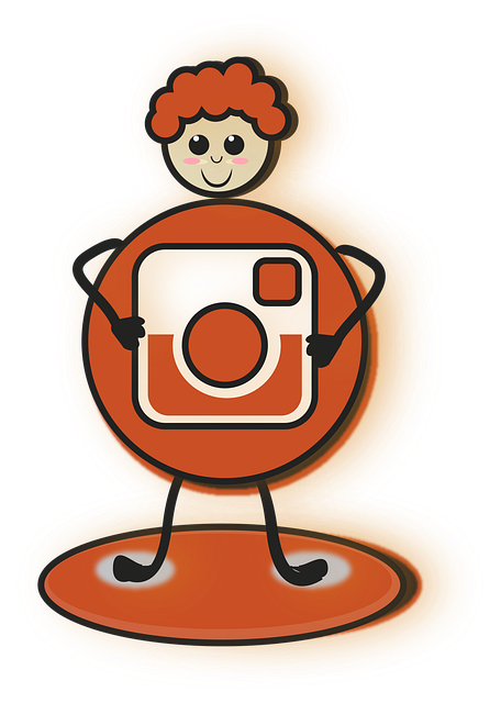 INSTAGRAM likes followers