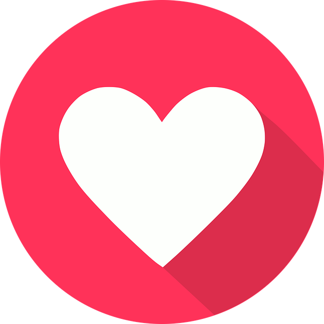 INSTAGRAM likes followers