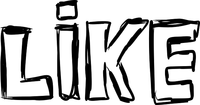 INSTAGRAM likes followers