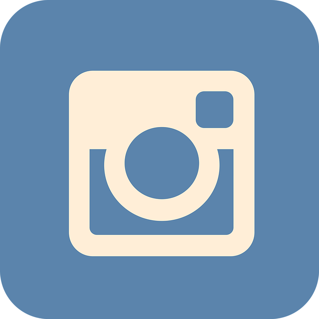 INSTAGRAM BOT