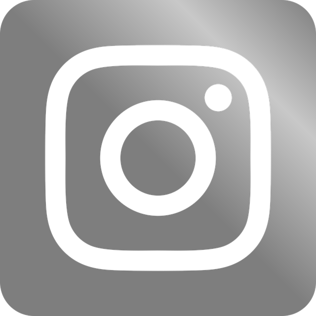 instagram-bot-640x480-59934047.png