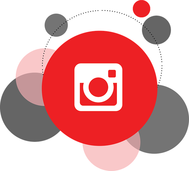 INSTAGRAM BOT