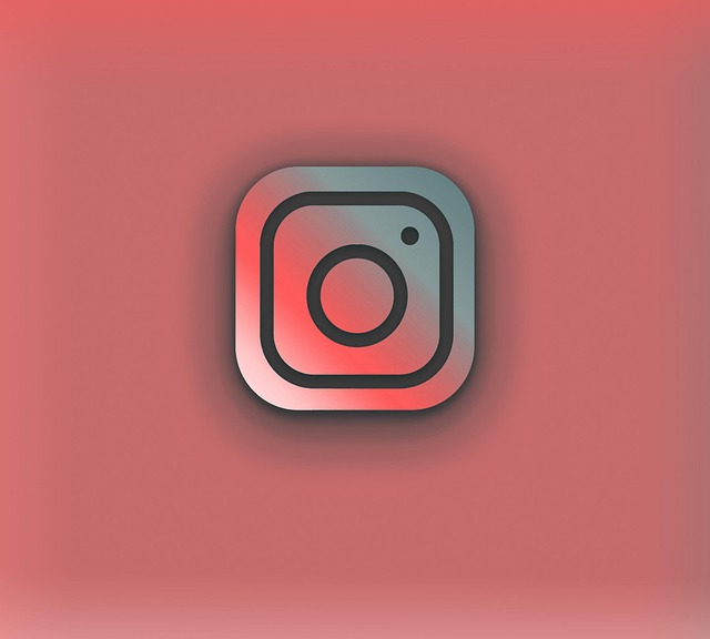 INSTAGRAM BOT