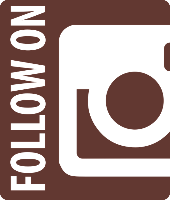 instagram-bot-640x480-88505400.png