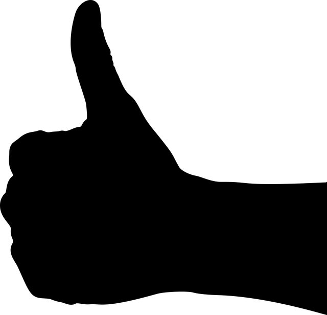 INSTAGRAM likes followers