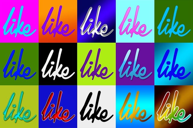 INSTAGRAM likes followers