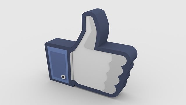INSTAGRAM likes followers