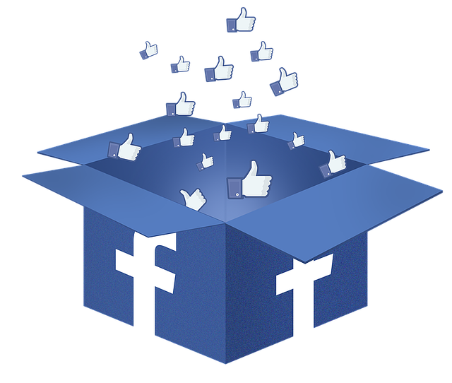 INSTAGRAM likes followers