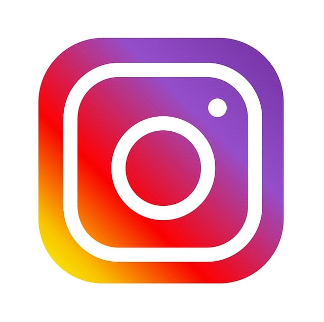 INSTAGRAM likes followers