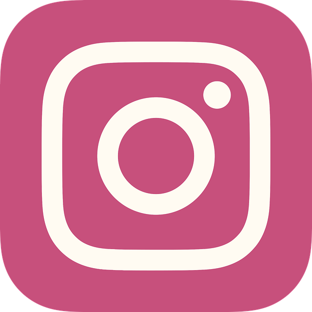 INSTAGRAM likes followers