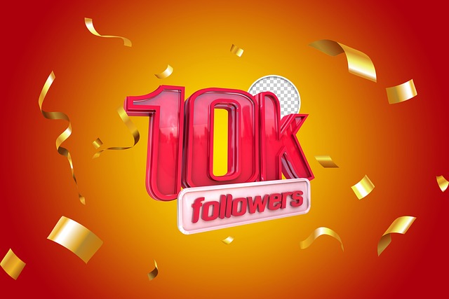 INSTAGRAM likes followers