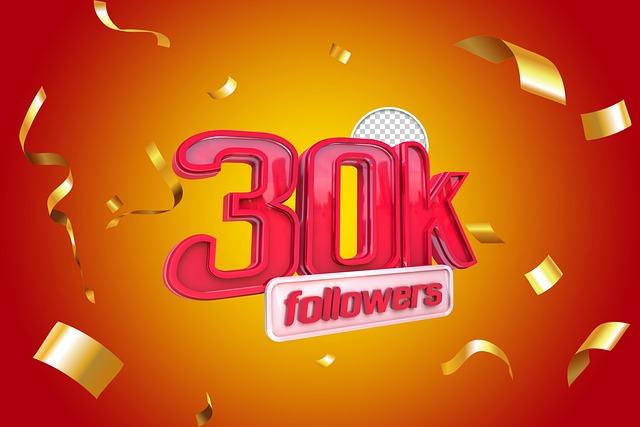 INSTAGRAM likes followers