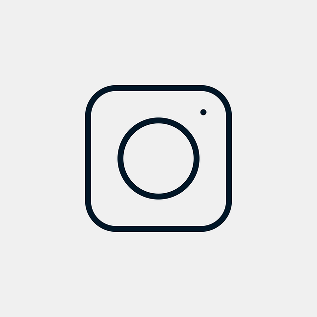 INSTAGRAM likes followers