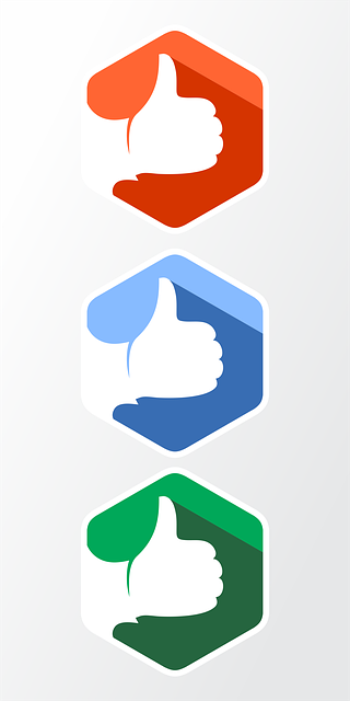 INSTAGRAM likes followers
