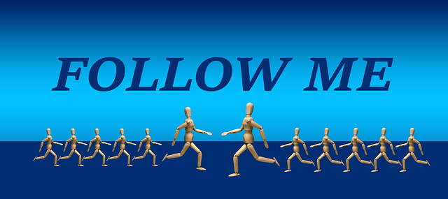 INSTAGRAM likes followers