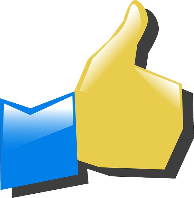 INSTAGRAM likes followers