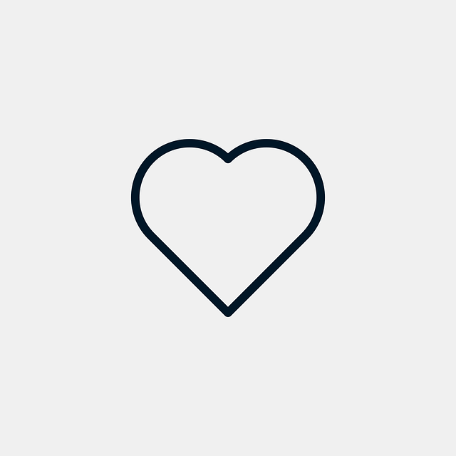 INSTAGRAM likes followers