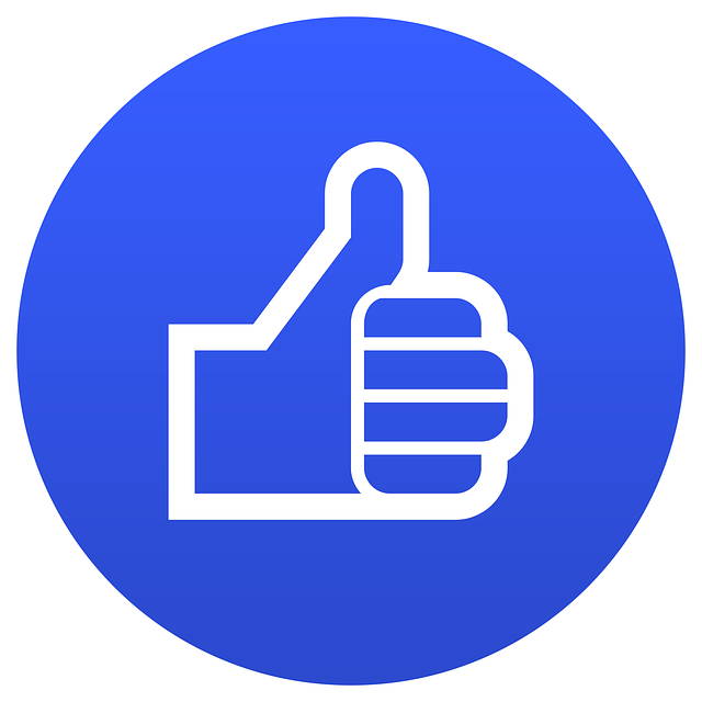 INSTAGRAM likes followers