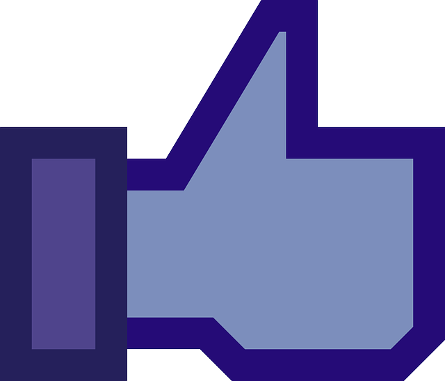 INSTAGRAM likes followers