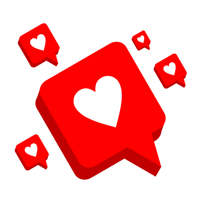 INSTAGRAM likes followers