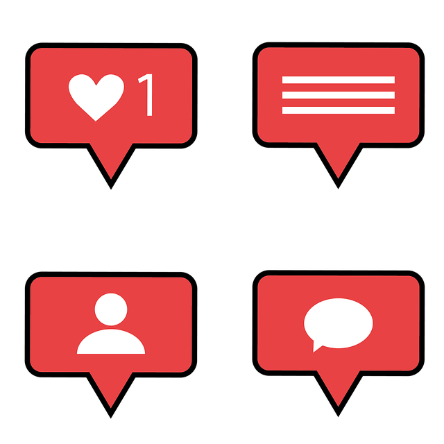 INSTAGRAM likes followers