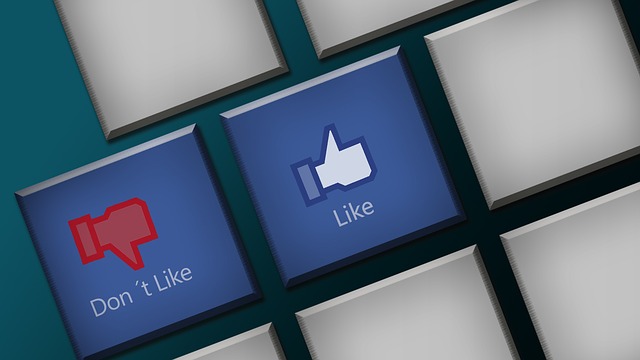 INSTAGRAM likes followers