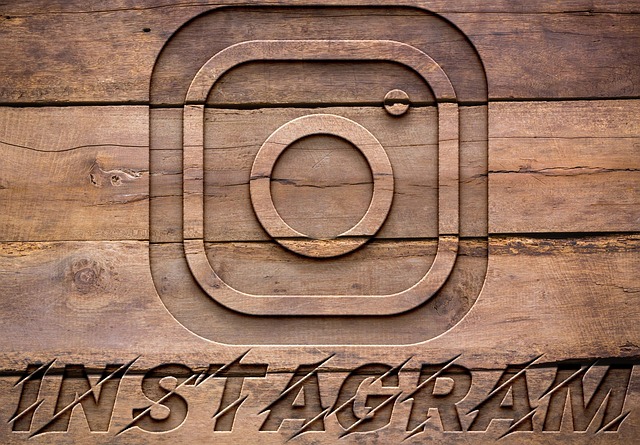 INSTAGRAM likes followers