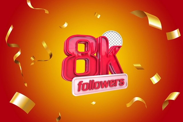 INSTAGRAM likes followers
