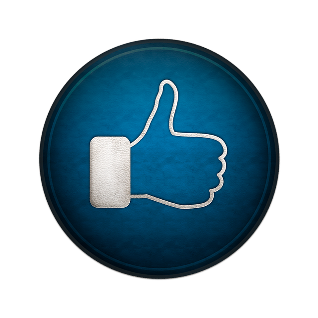 INSTAGRAM likes followers