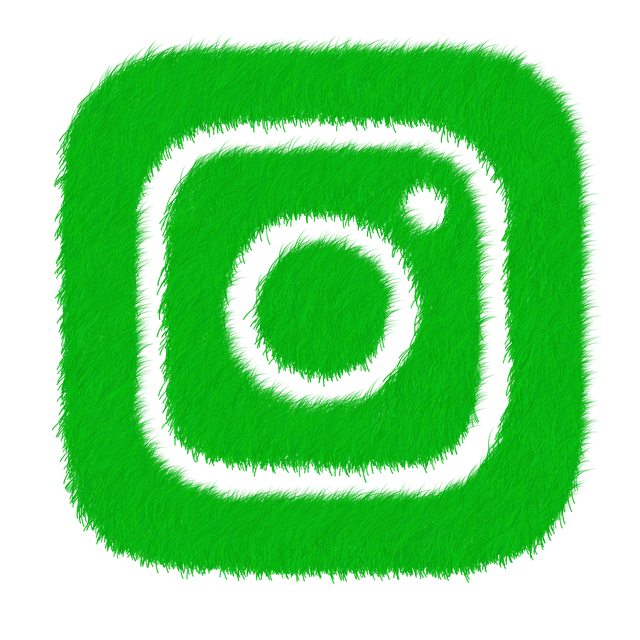 instagram-likes-followers-640x480-58723456.png