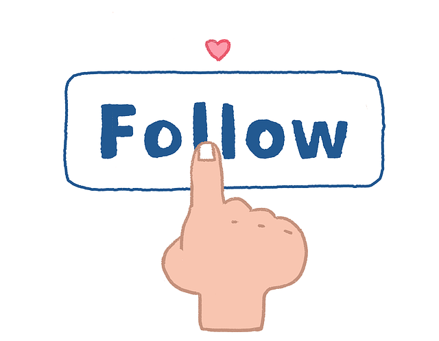 INSTAGRAM likes followers
