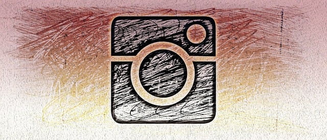 INSTAGRAM likes followers