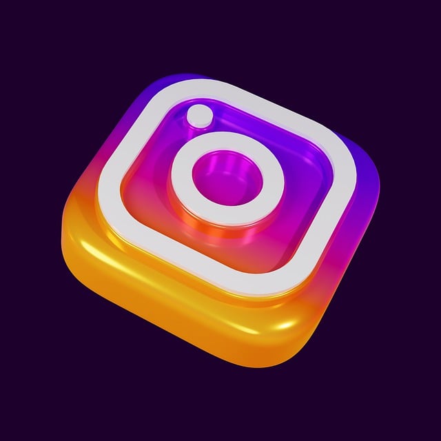 INSTAGRAM likes followers