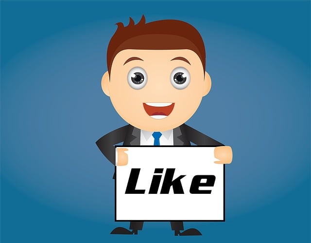 INSTAGRAM likes followers