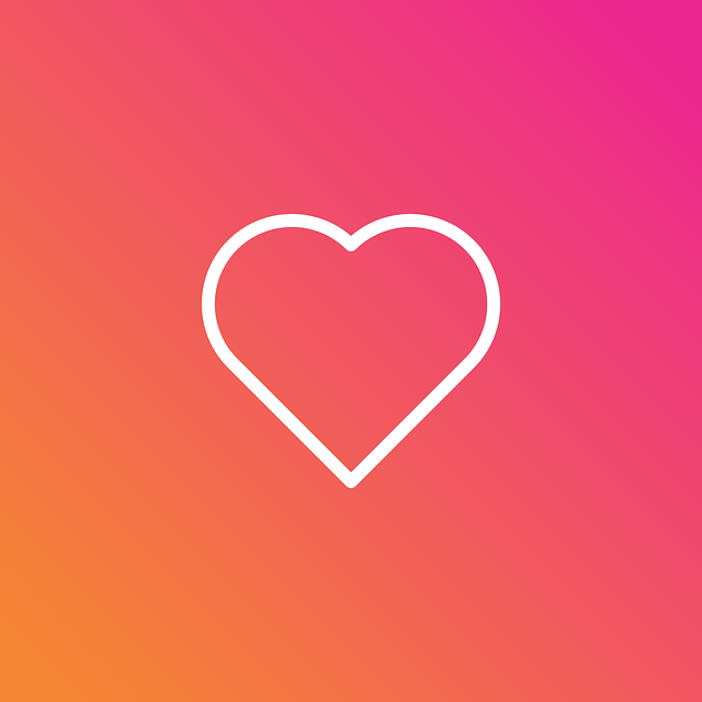 INSTAGRAM likes followers