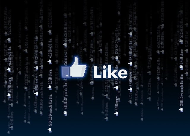INSTAGRAM likes followers