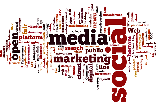 seo-640x480-44551902.png