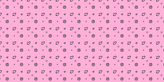 INSTAGRAM BOT