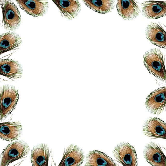 instagram-bot-640x480-61382928.jpeg