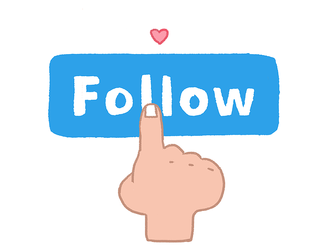INSTAGRAM likes followers