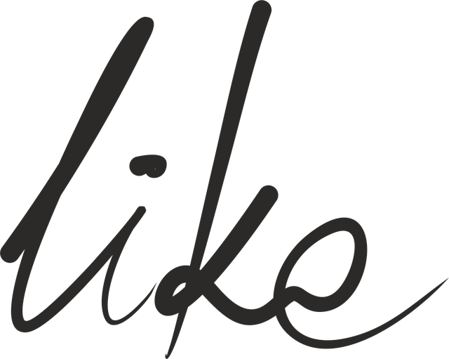 INSTAGRAM likes followers