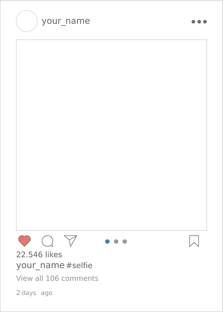 INSTAGRAM likes followers