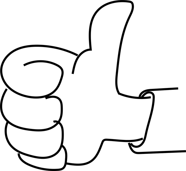 INSTAGRAM likes followers